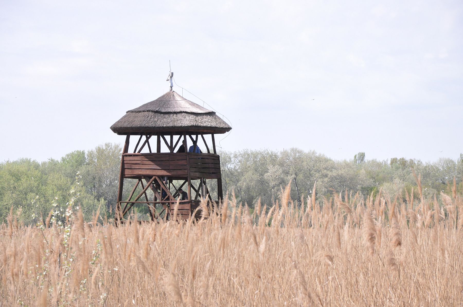 Fél év szünet után újraindultak az ökotúrák a Sóstó Természetvédelmi Területen